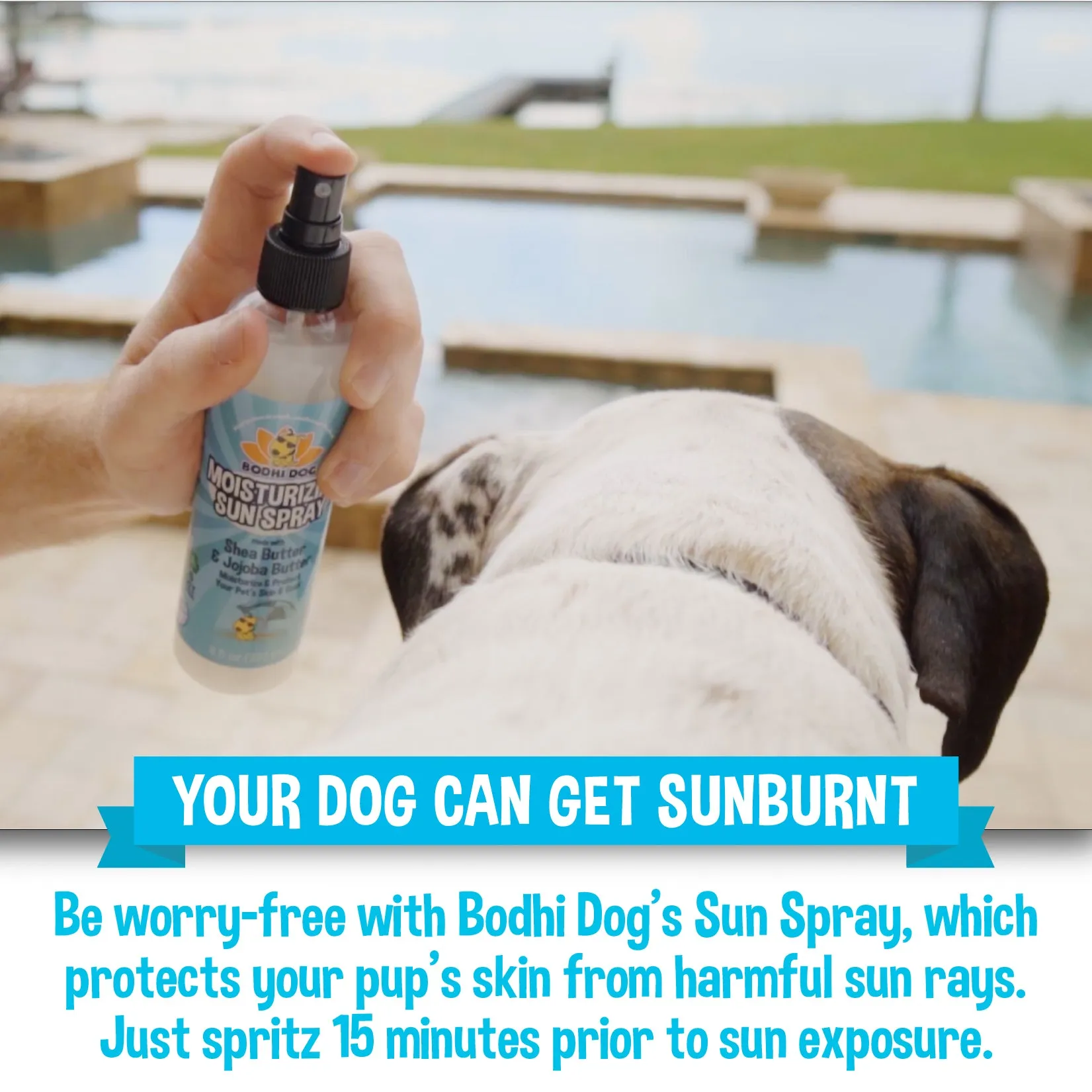 Bodhi Dog Sunscreen | Large Bottle SPF 30  Moisturizing Pet Sunscreen | Safe for All Breeds of Dogs, Cats and Horses | Natural Skin Protection and Conditioner for Skin, Coat, Nose, and Ears | Made in USA