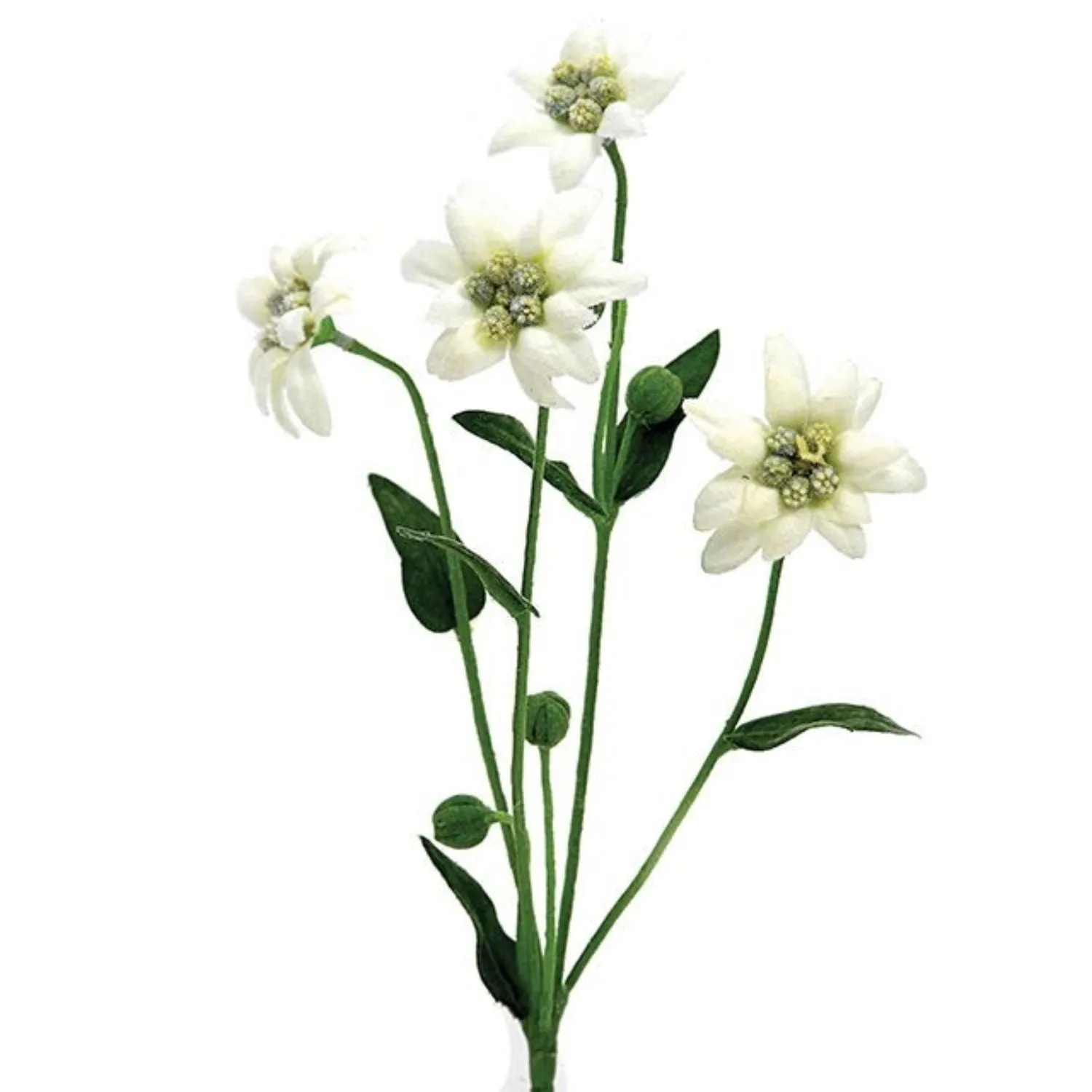 CB Imports Edelweiss Spray 32cm