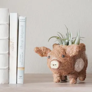 Coconut Coir Animal Planter - Baby Pig