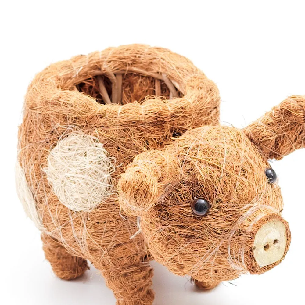 Coconut Coir Animal Planter - Baby Pig