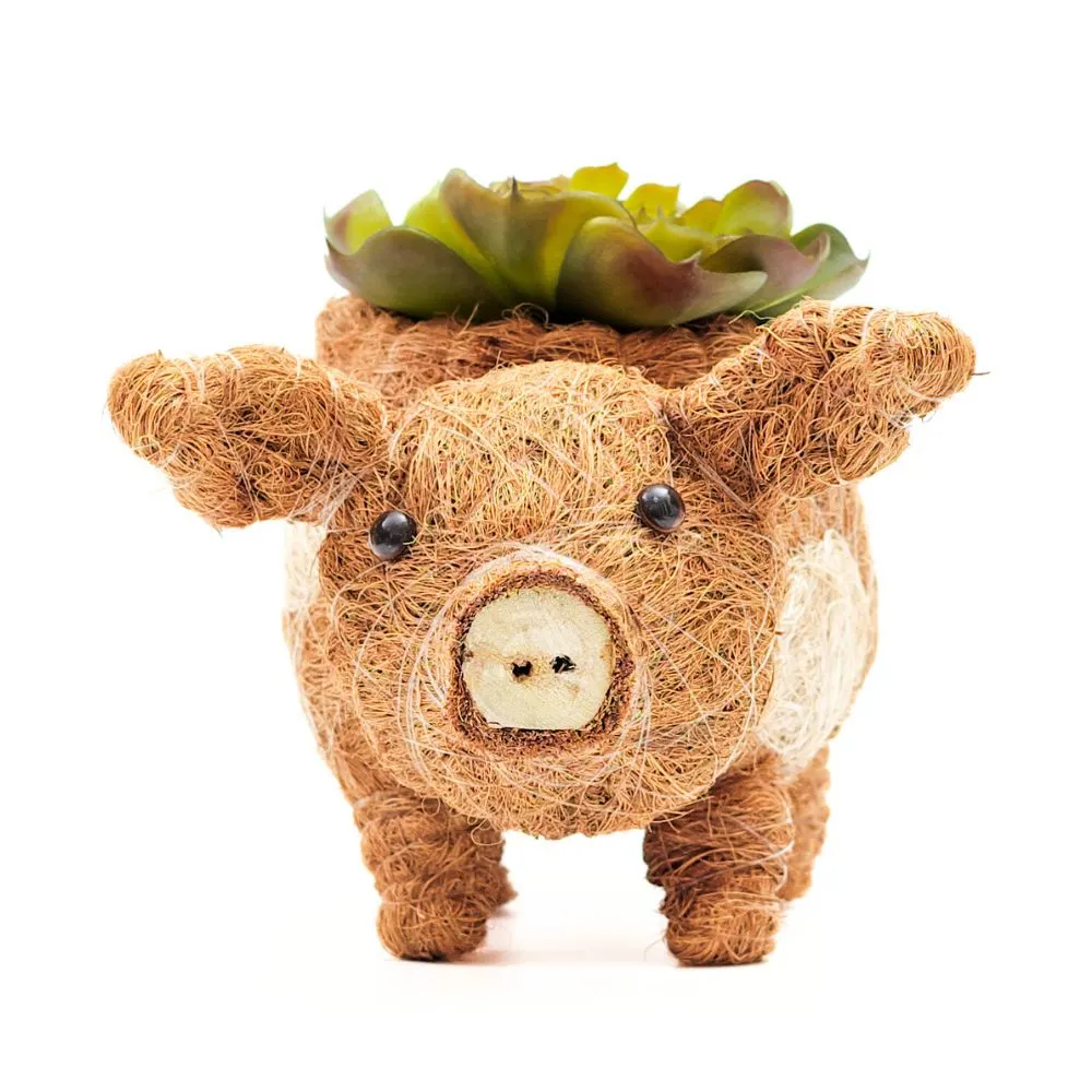 Coconut Coir Animal Planter - Baby Pig