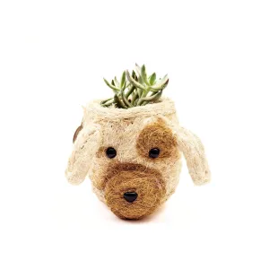 Coconut Coir Succulent Planter - Dog