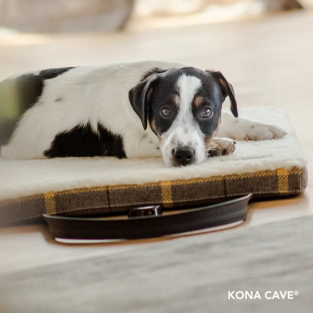 Travel Dog Bed - Beige & Gold Country Plaid with Fluffy Wool Lining